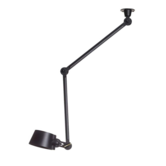 Bolt 2 arm side fit ceiling lamp