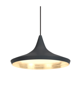 Tom Dixon - Beat Wide pendant