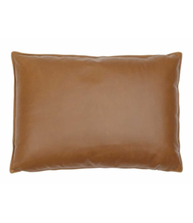 In Situ Cushion leather
