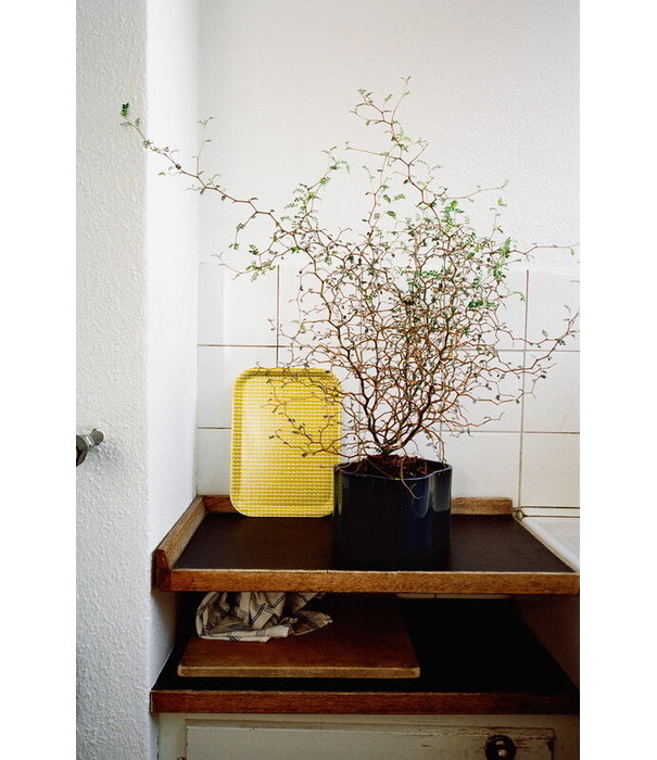 Artek  Artek - Rivi tray mustard - wit,  43 x 33 cm.