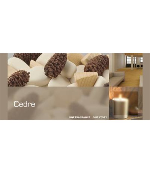 Esteban   Esteban - Cedre refill flacon