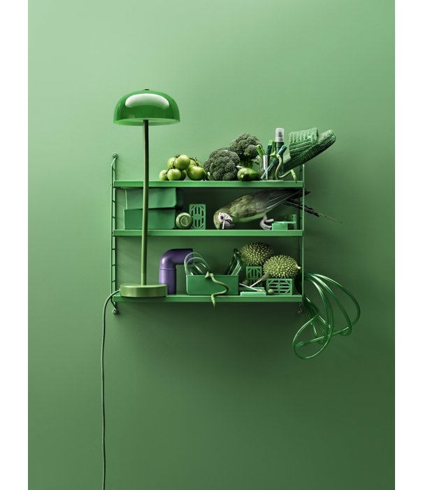 String  String - Pocket cabinet green MDF