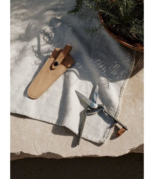 Audo Audo - Pallarès  plant shears