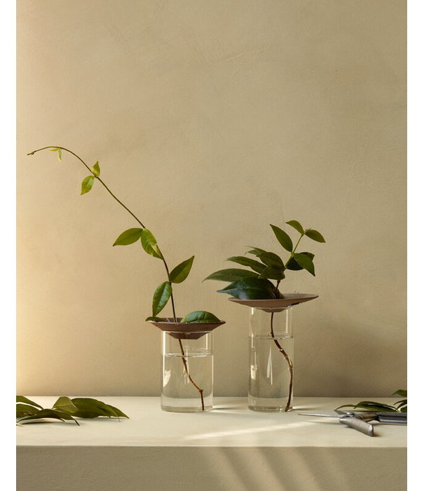 Audo Audo - Cresco propagation vaas, 2 stk