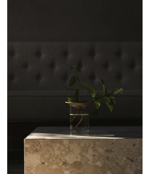 Audo Audo - Cresco propagation vaas, 2 stk