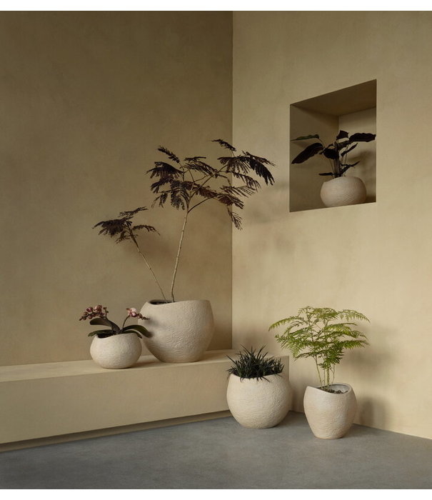 Audo Audo - Plantas planter pot