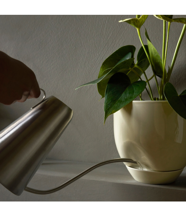 Audo Audo - Hydrous Watering Can, Stainless Steel