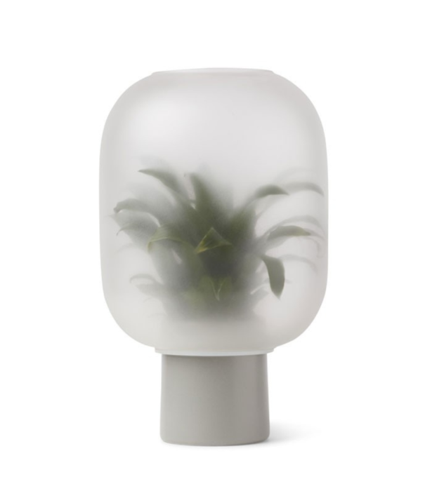 Gejst Gejst:Nebl Flowerpot