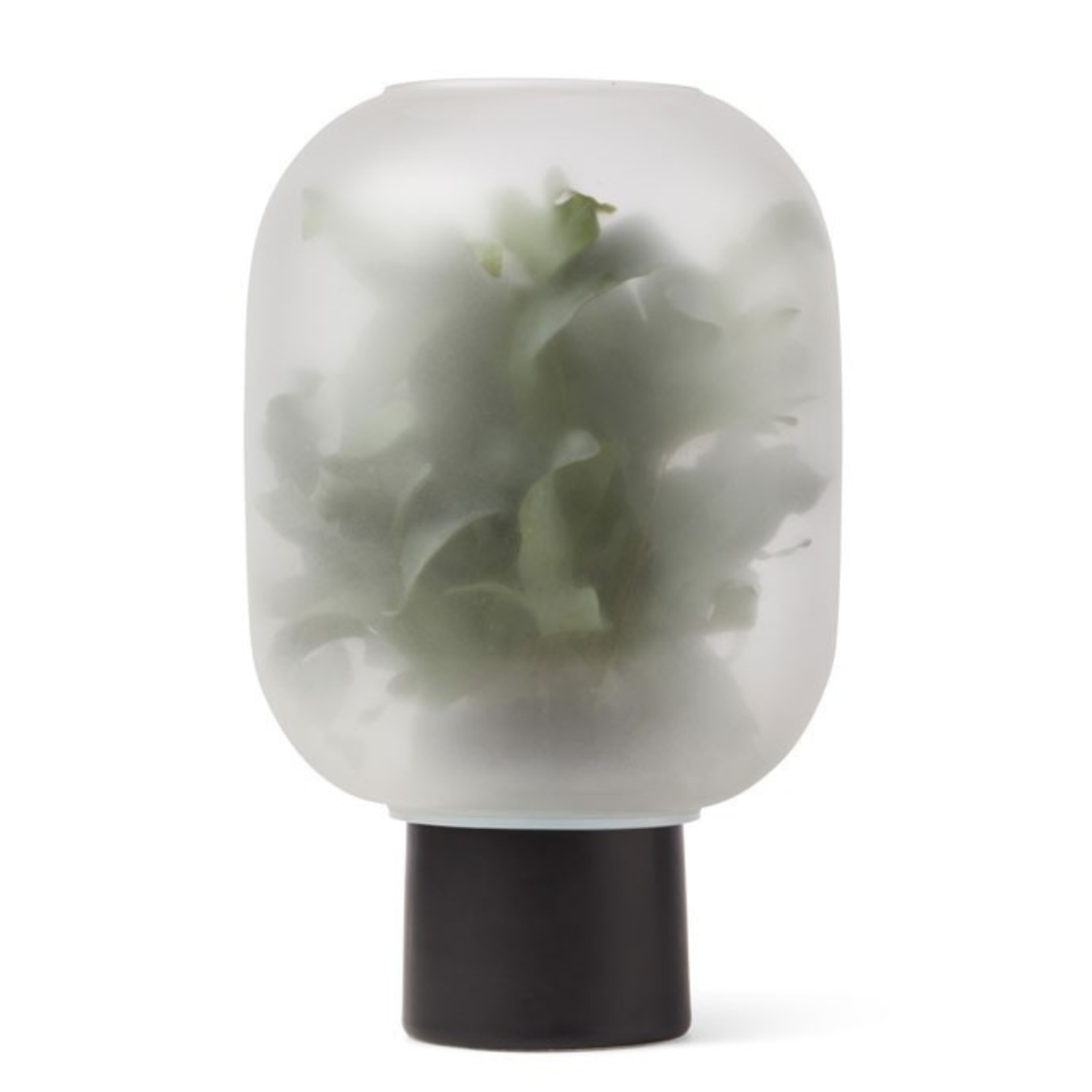 Gejst Gejst:Nebl Flowerpot