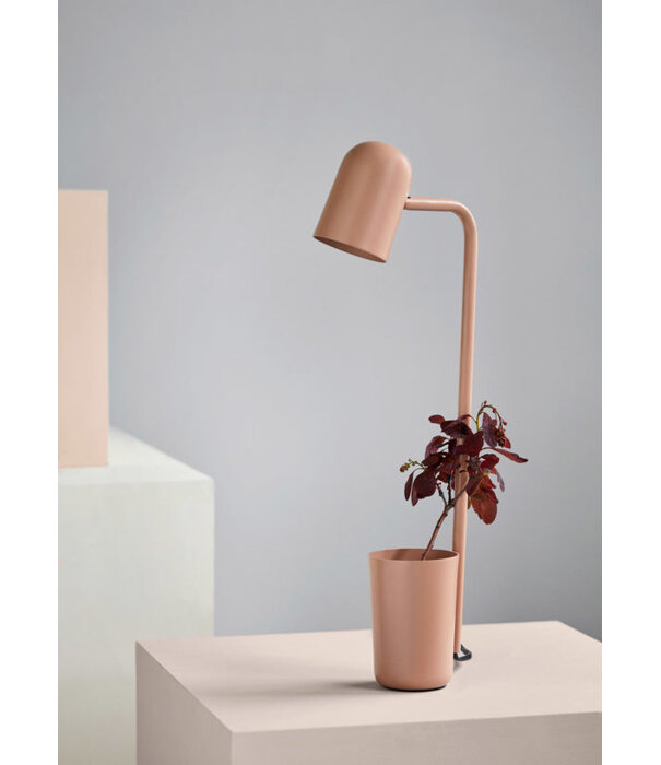 Northern  Buddy Bureaulamp