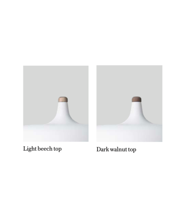 Northern  Acorn Floor lamp
