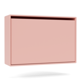 Hide Shoe Cabinet Wall