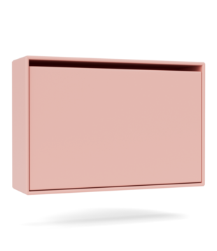 Montana Hide Shoe Cabinet