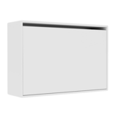 Hide Shoe Cabinet Wall