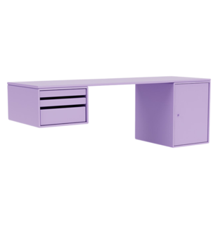 Workshop Desk
