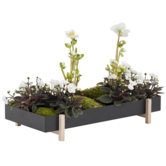 Design House Stockholm - Botanic tray black / ash