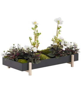 Design House Stockholm - Botanic Tray zwart / essen