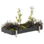 Design House Stockholm - Botanic tray black / ash