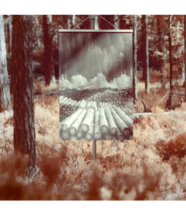 Artek  Artek Forest Collection, Aalto 82A Table  Wild Birch