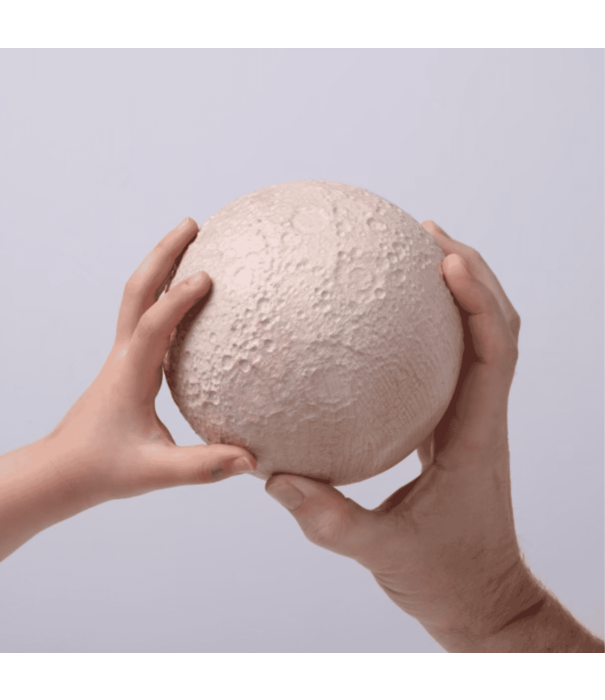 Architectmade  Moon 3D Model , walnoot, esdoorn