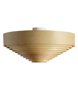 1005 Hans Plafondlamp 55