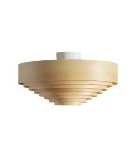 1005 Hans Plafondlamp 42