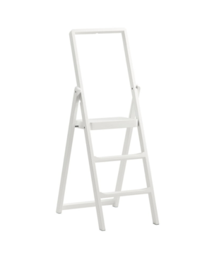 Step Stepladder wit
