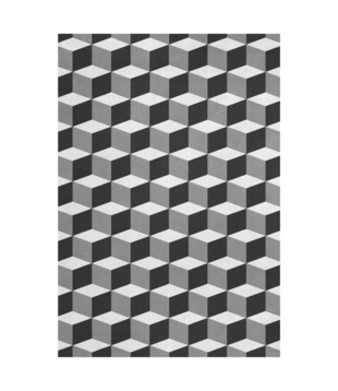 Layered Illusion Monochrome Rug