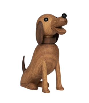 Lucie Kaas Bella  the Dog