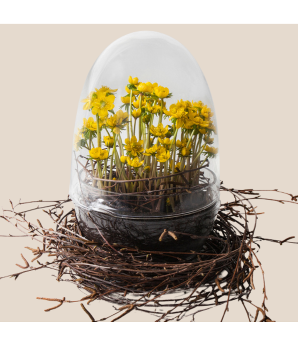 Design House Stockholm  Design House Stockholm Grow Greenhouse