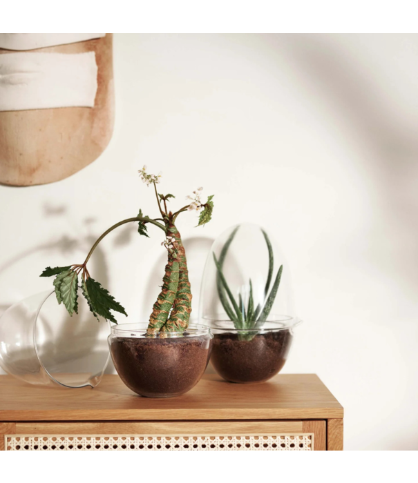 Design House Stockholm  Design House Stockholm Grow Greenhouse