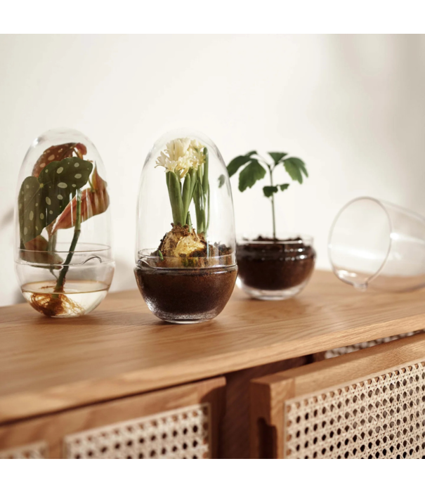 Design House Stockholm  Design House Stockholm Grow Greenhouse