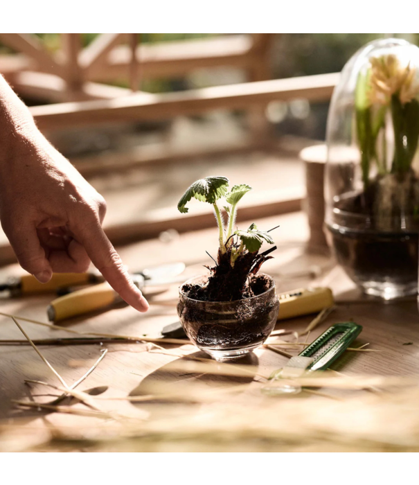 Design House Stockholm  Design House Stockholm Grow Greenhouse