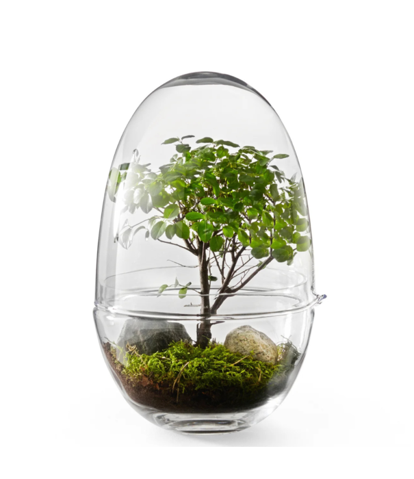 Design House Stockholm  Design House Stockholm Grow Greenhouse