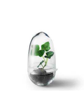 Design House Stockholm Grow Greenhouse