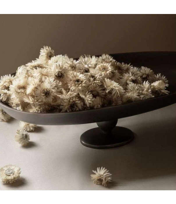 Audo Audo Pavot Schaal Aluminium