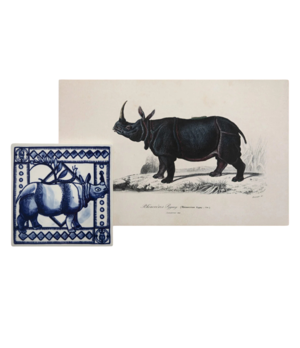 Royal Delft  Royal Delft Tile Extinct Animals, Mimic Moth