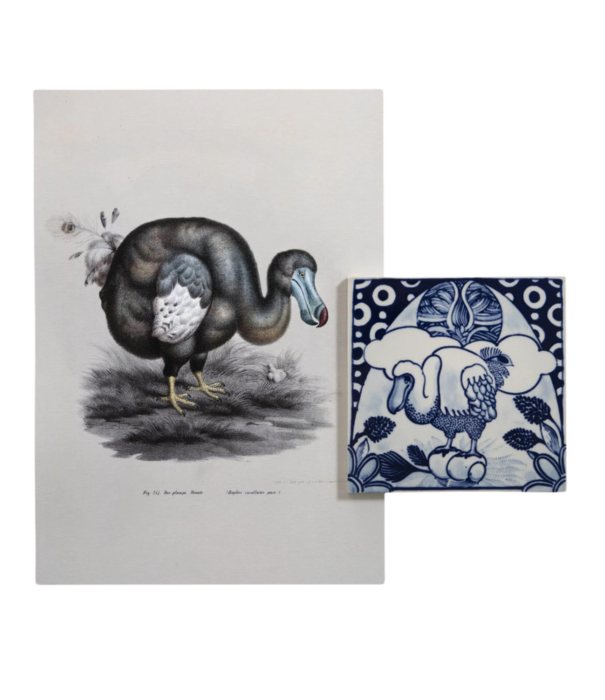 Royal Delft  Royal Delft Tile Extinct Animals, Dwerg Nijlpaard