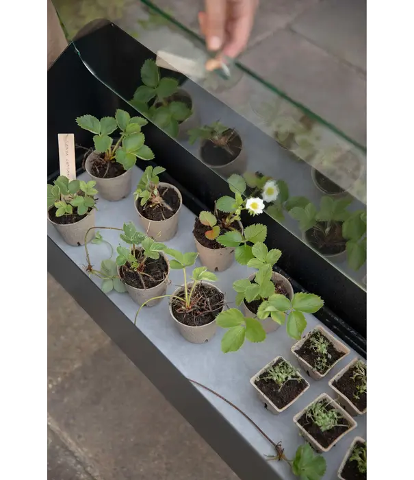 Eva Solo  - Wait to be seated Eva Solo Simply Grow Spire Planter