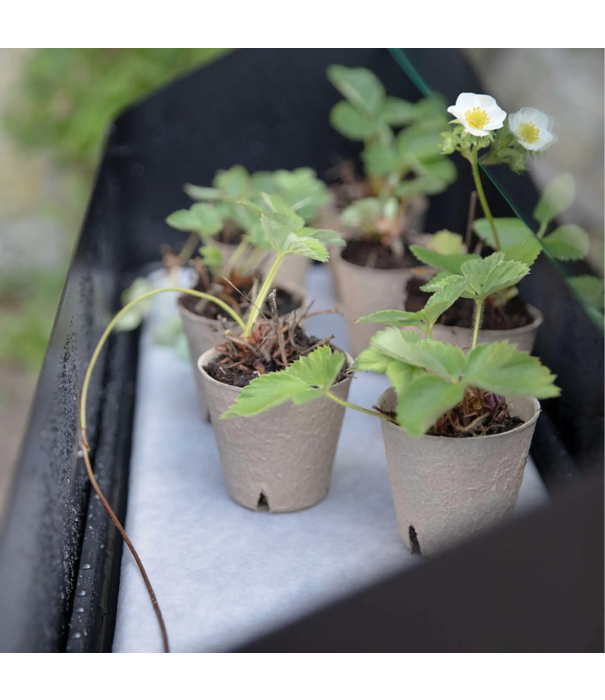 Eva Solo  - Wait to be seated Eva Solo Simply Grow Spire Planter