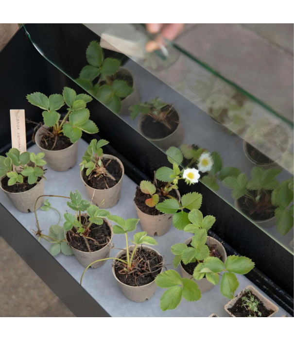 Eva Solo  - Wait to be seated Eva Solo Simply Grow Spire Planter