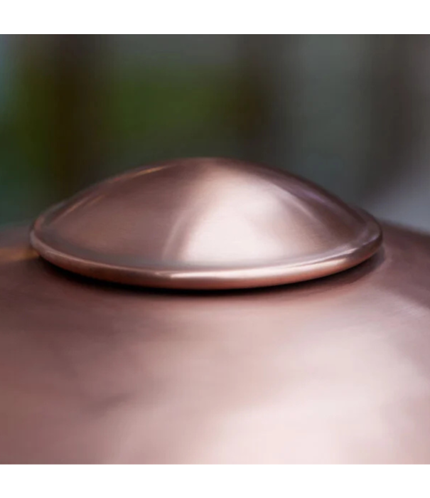 Fritz Hansen HL410 Outdoor wall lamp copper/ clear