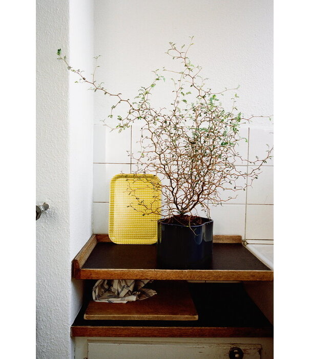 Artek  Artek Rivi Tray small mustard, white 27 x 20