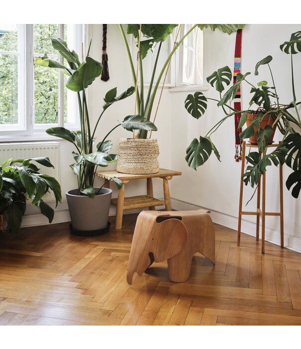 Vitra  Vitra Eames Elephant Plywood chestnut, Children's Chair