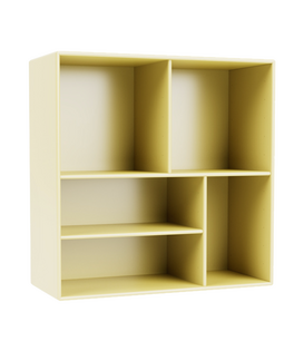 Montana 1619 Wall Module with 5 various open compartments