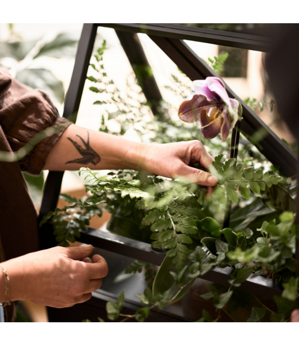 Design House Stockholm  Design House Stockholm Greenhouse donker essen