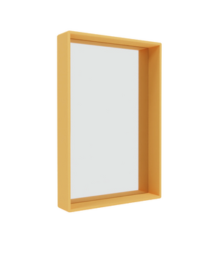 Shelfie Mirror