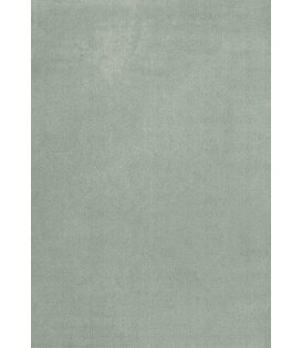 Solid Wool  Wool Rug - Sage