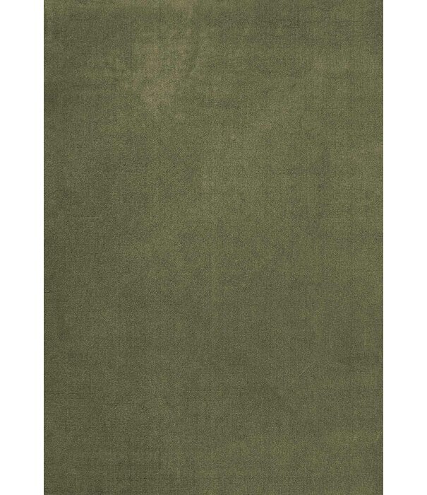 Layered  Solid Wool  Wool Rug - Capulet Olive