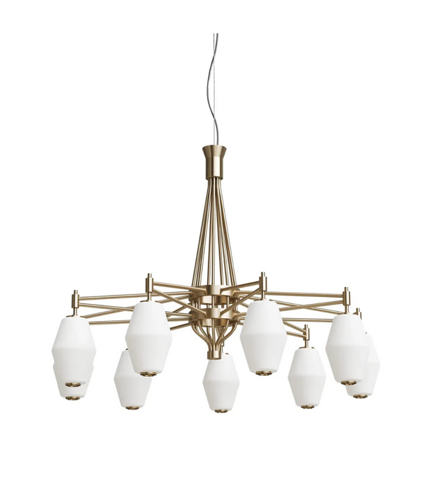 Northern  Dahl Chandelier